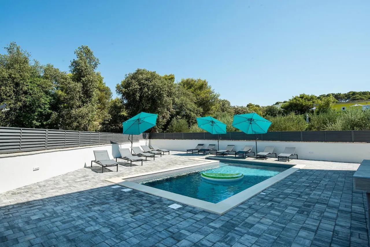 Villa Div With Pool Bibinje